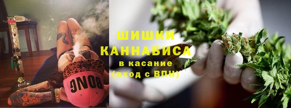 спайс Арсеньев