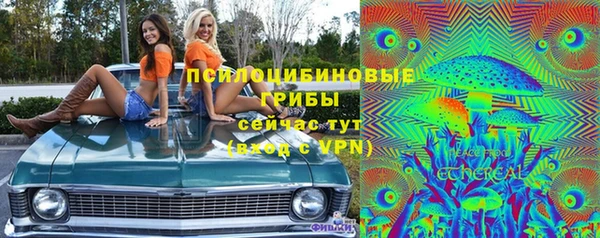 спайс Арсеньев